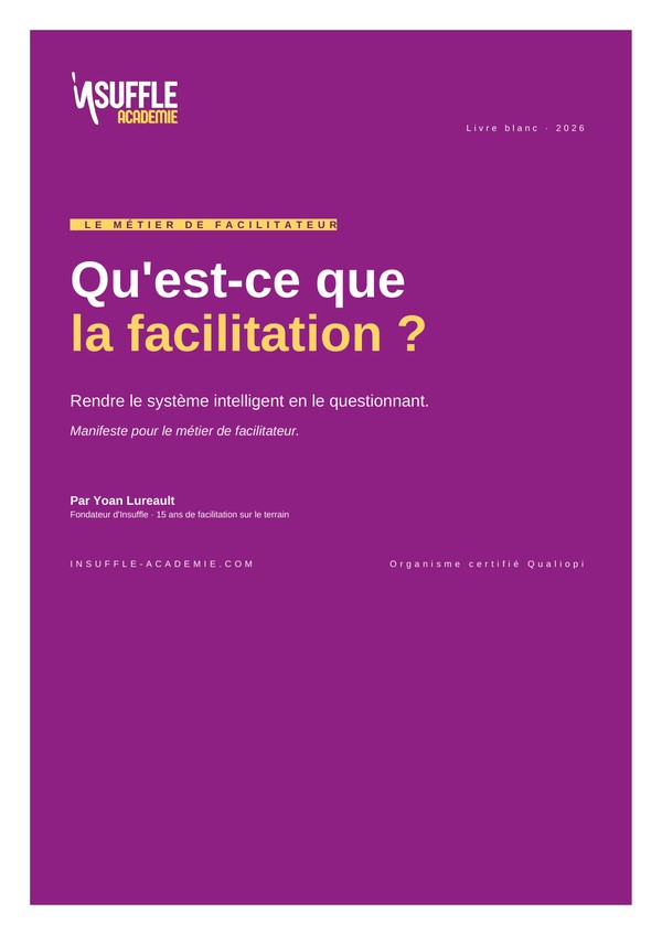 Couverture du livre blanc « Qu'est-ce que la facilitation ? »