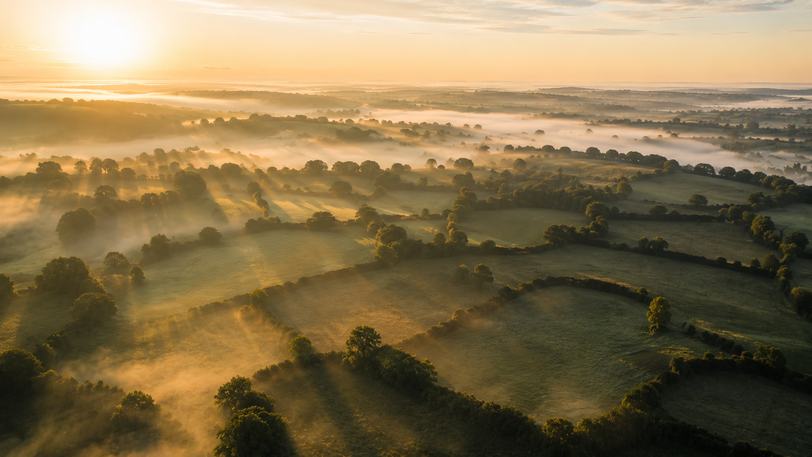 Brouillard organisationnel : le flou qui descend